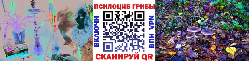 Купить закладки  Городовиковск  Галлюциногенные грибы Magic Shrooms 